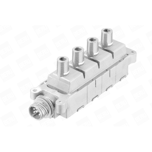 BorgWarner (BERU) Zündspule ZS307