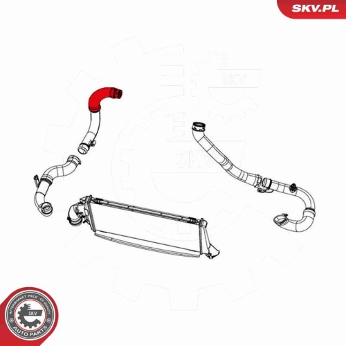 ESEN SKV Ladeluftschlauch 43SKV191