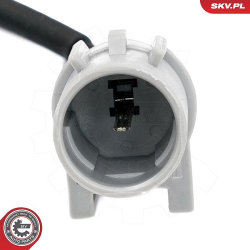 ESEN SKV Klopfsensor 17SKV850