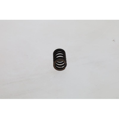 BOSCH Feder 1 424 619 025