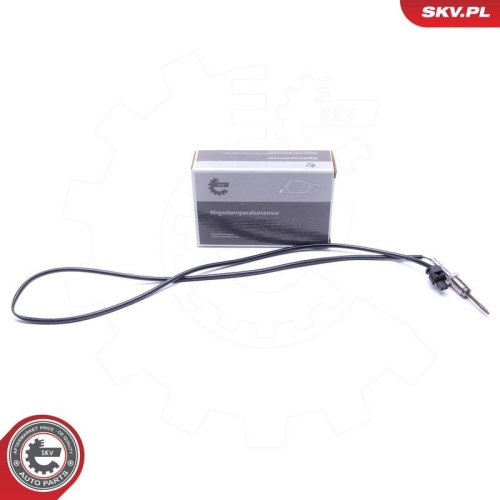 ESEN SKV Sensor, Abgastemperatur 30SKV437