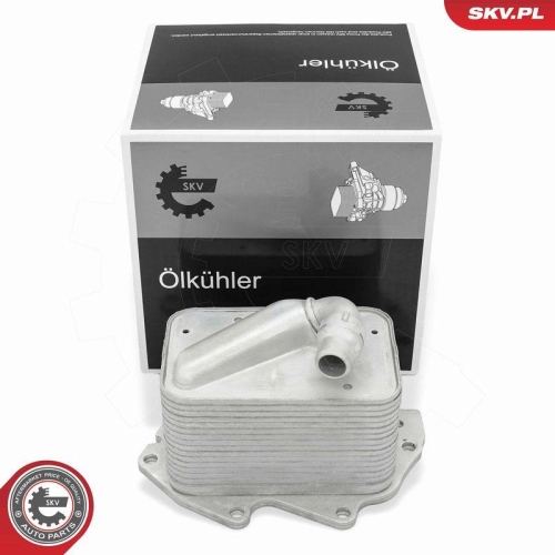 ESEN SKV &Ouml;lk&uuml;hler, Motor&ouml;l 31SKV368