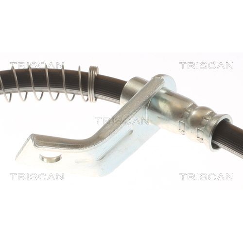 TRISCAN Bremsschlauch 8150 431011