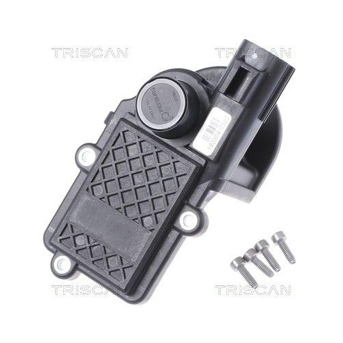 TRISCAN AGR-Ventil 8813 27105