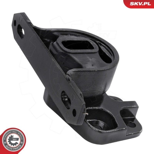 ESEN SKV Lagerung, Motor 75SKV039