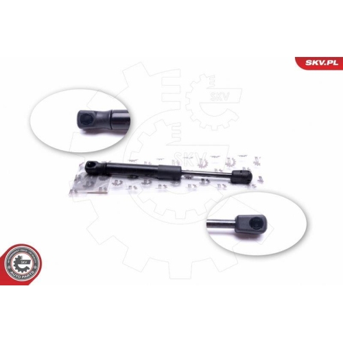 ESEN SKV Gasfeder, Koffer-/Laderaum