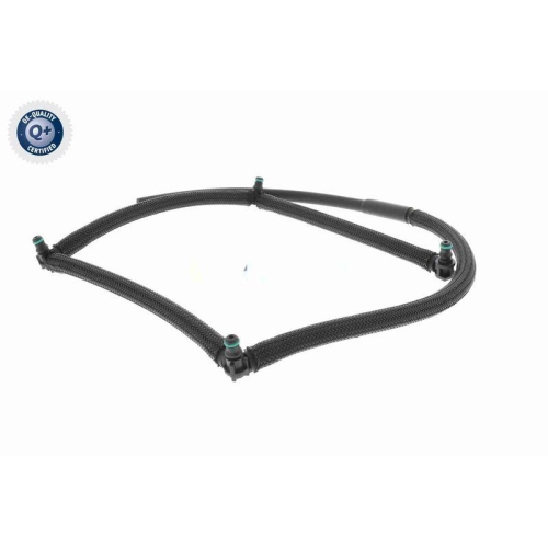 VAICO Schlauch, Leckkraftstoff Q+, Erstausr&uuml;sterqualit&auml;t V42-0858