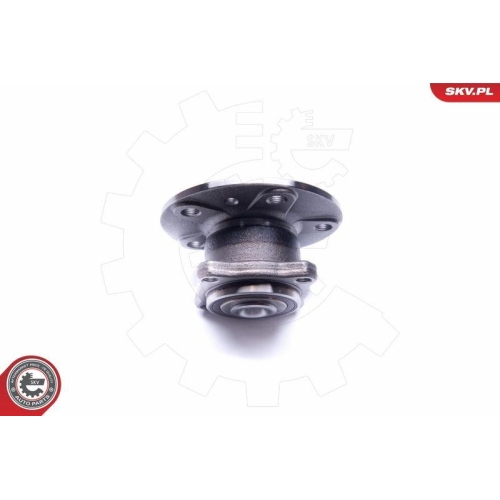 ESEN SKV Radlagersatz