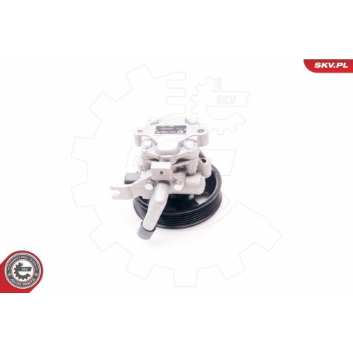 ESEN SKV Hydraulikpumpe, Lenkung