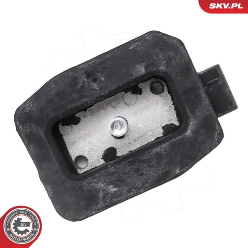 ESEN SKV Lagerung, Schaltgetriebe 75SKV801