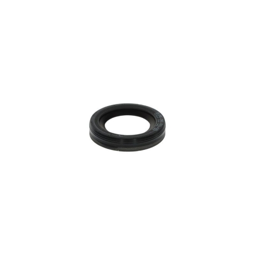 BOSCH Dichtung F 00N 203 538