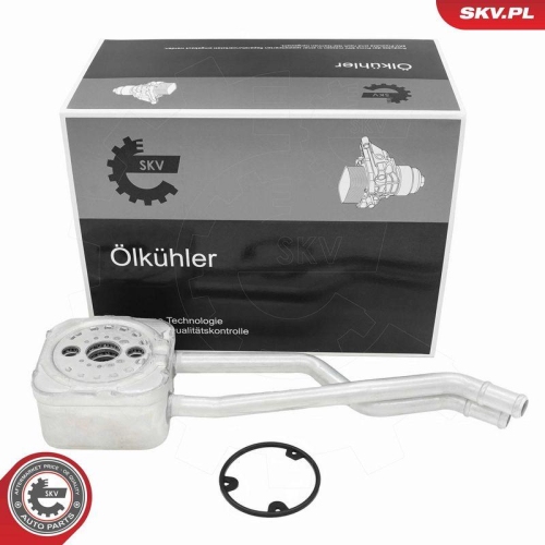 ESEN SKV &Ouml;lk&uuml;hler, Motor&ouml;l 31SKV293
