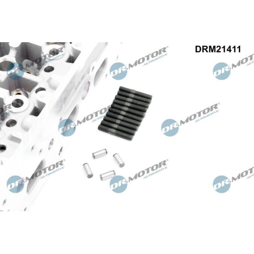 Dr.Motor Automotive Zylinderkopf DRM21411