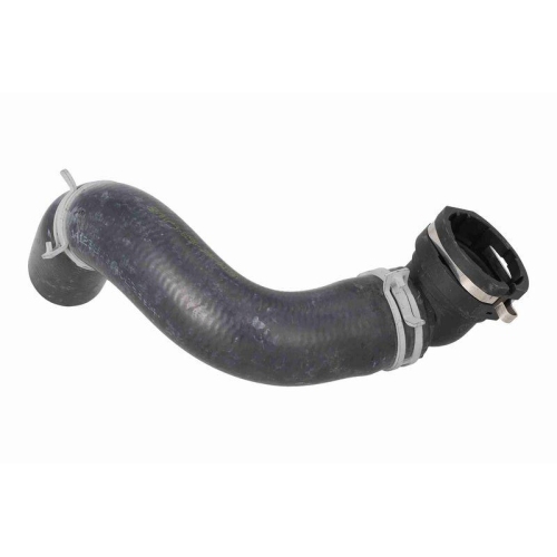 ACKOJA K&uuml;hlerschlauch Original ACKOJA Qualit&auml;t A52-0888
