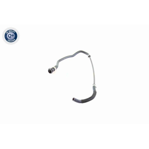 VAICO Entlüftungsschlauch, Ausgleichsbehälter Q+, Erstausrüsterqualität