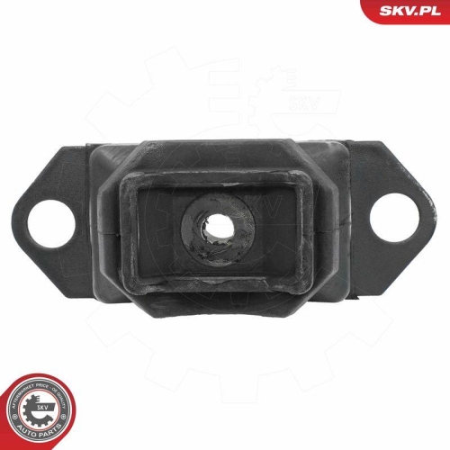 ESEN SKV Lagerung, Motor 75SKV080