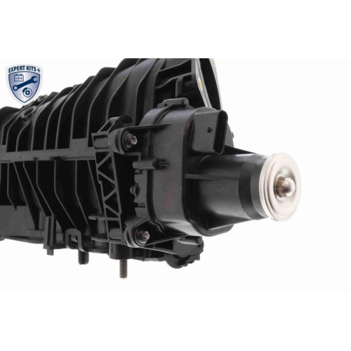 VAICO Saugrohrmodul EXPERT KITS + V20-4557