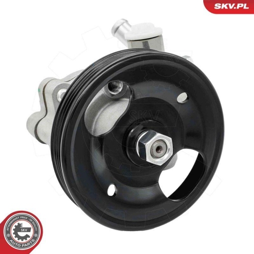 ESEN SKV Hydraulikpumpe, Lenkung