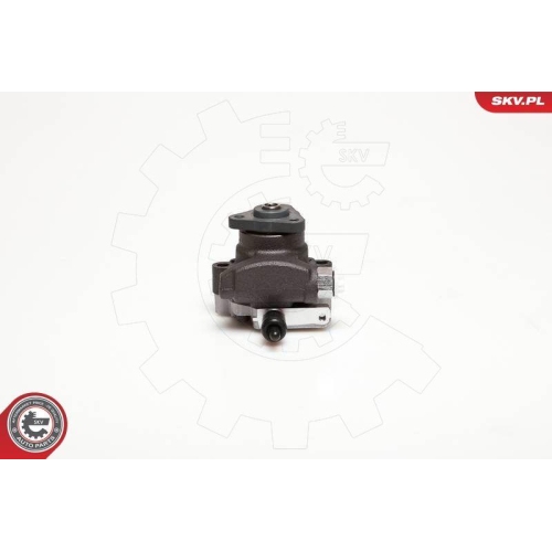 ESEN SKV Hydraulikpumpe, Lenkung