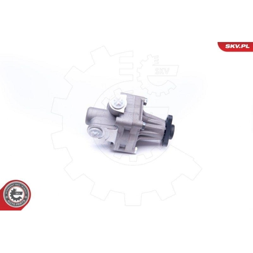 ESEN SKV Hydraulikpumpe, Lenkung