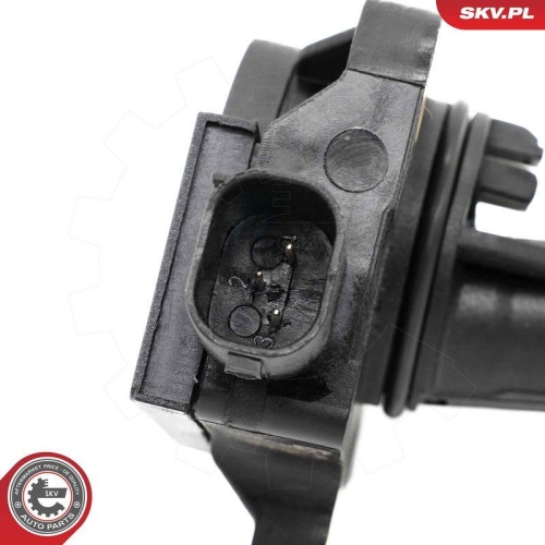 ESEN SKV Sensor, Motor&ouml;lstand 17SKV923