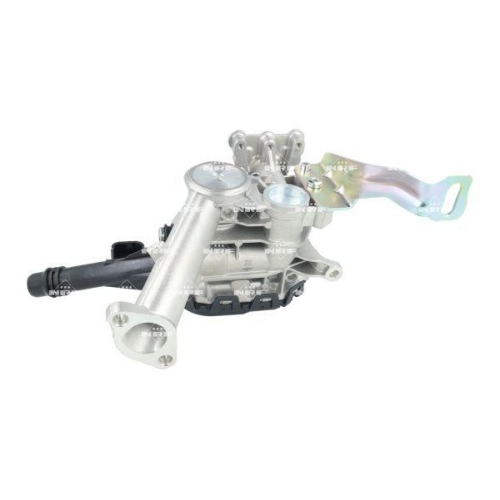 NRF AGR-Ventil 48762