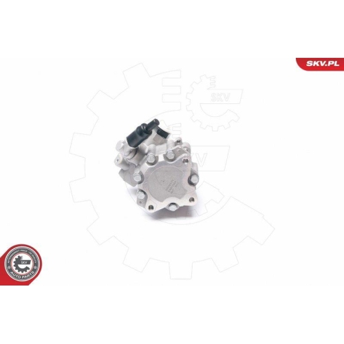 ESEN SKV Hydraulikpumpe, Lenkung