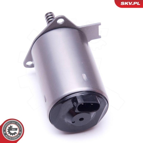 ESEN SKV Stellelement, Exzenterwelle (variabler Ventilhub) 96SKV087