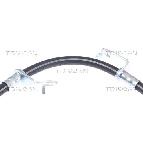 TRISCAN Bremsschlauch 8150 13307