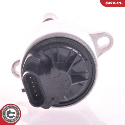 ESEN SKV AGR-Ventil 14SKV002