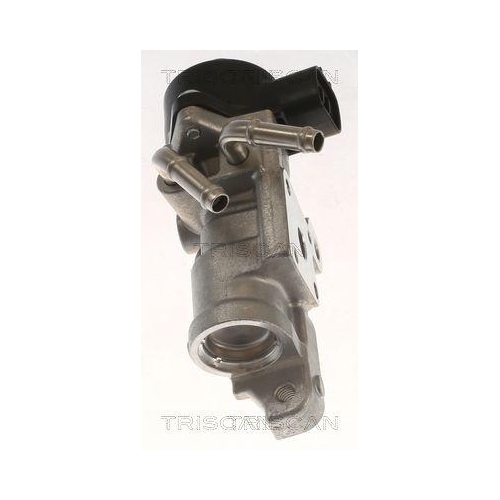 TRISCAN AGR-Ventil 8813 13070