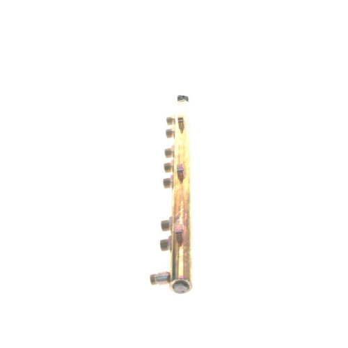 BOSCH Verteilerrohr, Kraftstoff 0 445 226 054