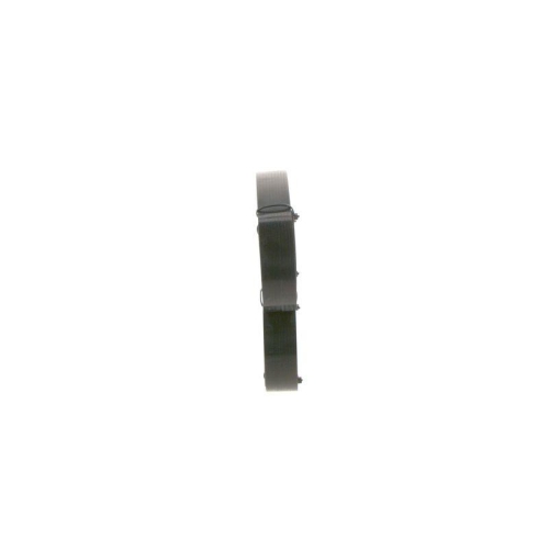 BOSCH Keilrippenriemen 1 987 947 053