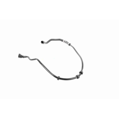 VAICO Kühlerschlauch Original VAICO Qualität