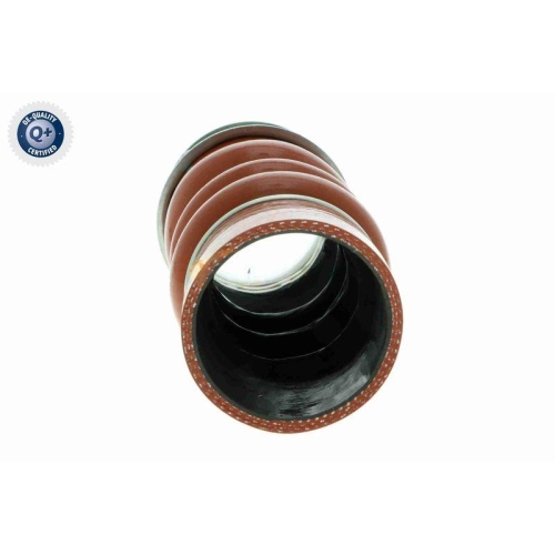 VAICO Ladeluftschlauch Q+, Erstausrüsterqualität