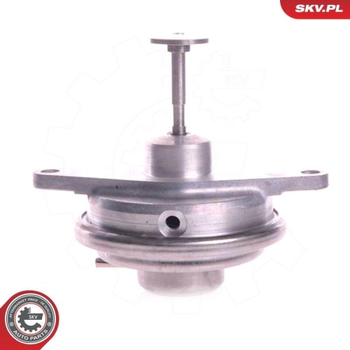 ESEN SKV AGR-Ventil 14SKV022