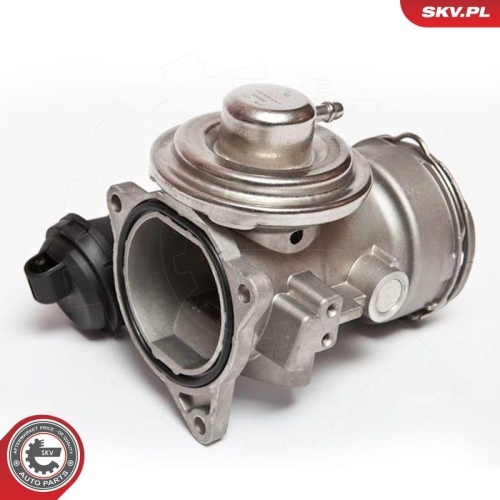 ESEN SKV AGR-Ventil 14SKV025