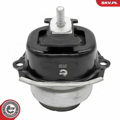 ESEN SKV Lagerung, Motor 75SKV255