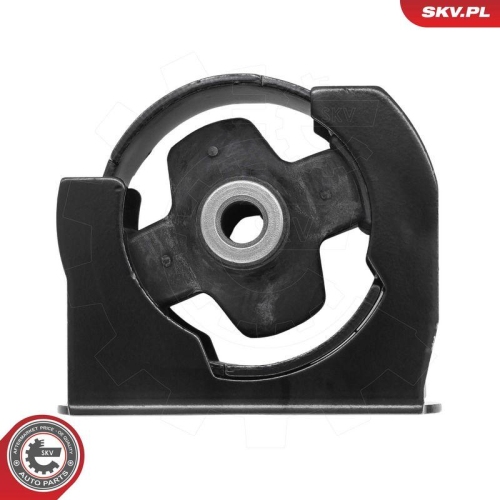 ESEN SKV Lagerung, Motor 75SKV262