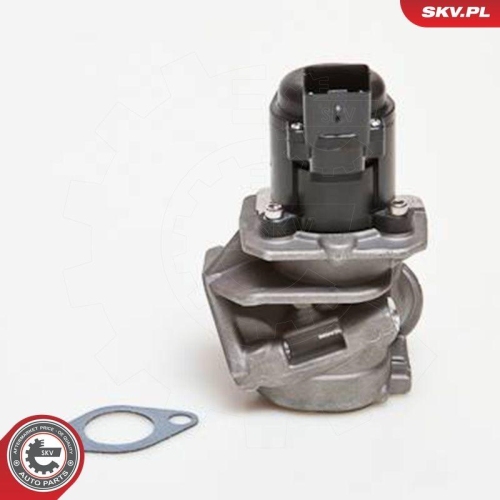 ESEN SKV AGR-Ventil 14SKV028