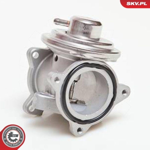 ESEN SKV AGR-Ventil 14SKV034