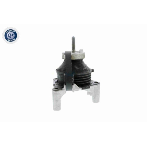 VAICO Lagerung, Motor Q+, Erstausr&uuml;sterqualit&auml;t V50-0031