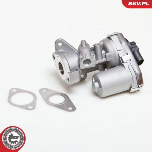 ESEN SKV AGR-Ventil 14SKV038