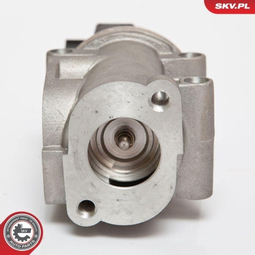 ESEN SKV AGR-Ventil 14SKV055