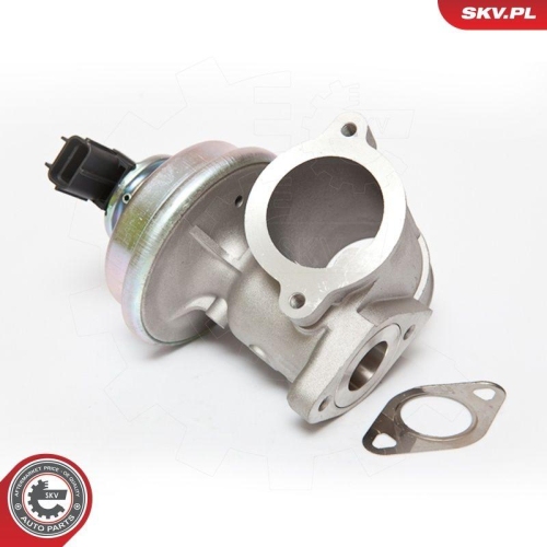 ESEN SKV AGR-Ventil 14SKV061