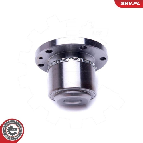 ESEN SKV Radlagersatz 29SKV374