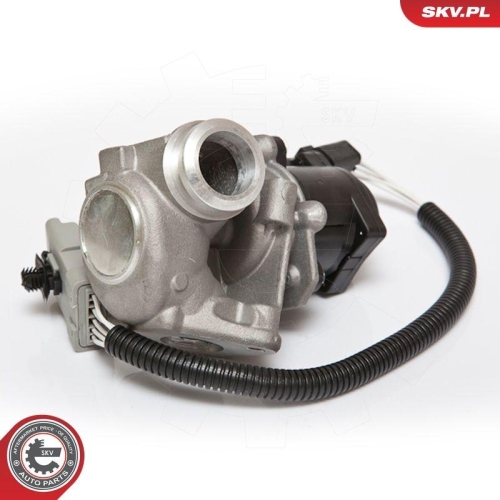 ESEN SKV AGR-Ventil 14SKV067