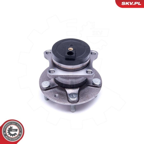 ESEN SKV Radlagersatz 29SKV379