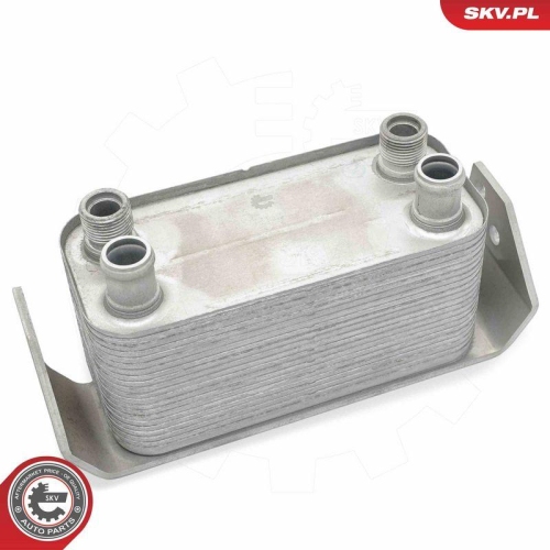 ESEN SKV &Ouml;lk&uuml;hler, Motor&ouml;l 31SKV347