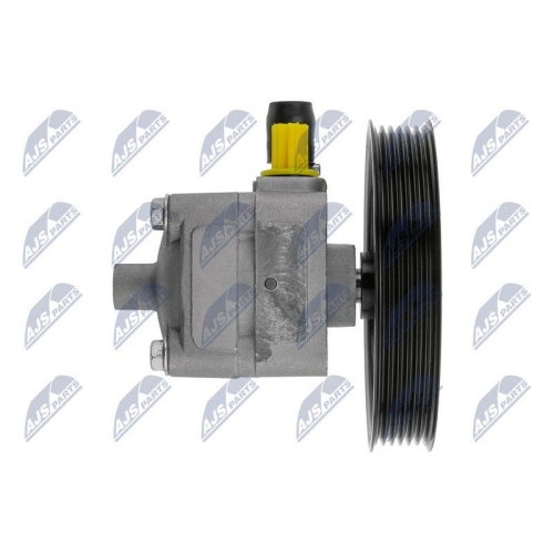 NTY Hydraulikpumpe, Lenkung SPW-VV-004